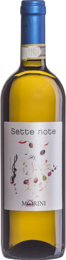 SETTE NOTE