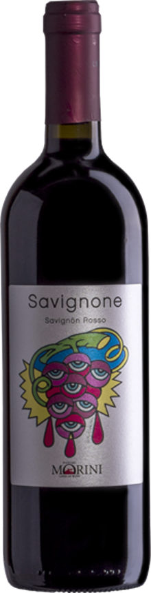 SAVIGNONE