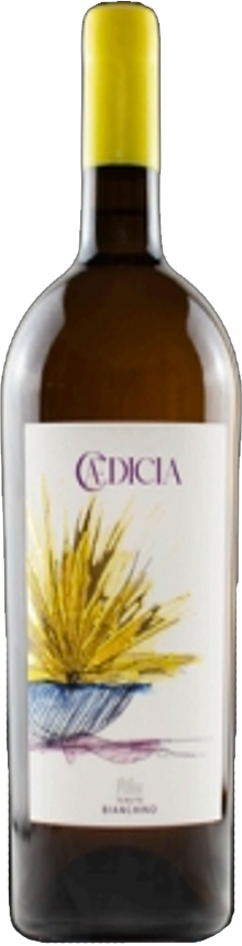 CAEDICIA